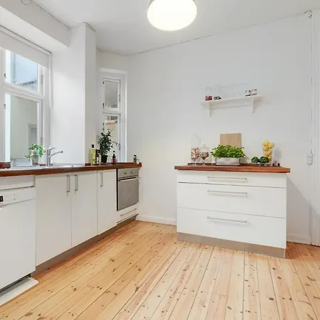 Spacious And Stylish In Cph *