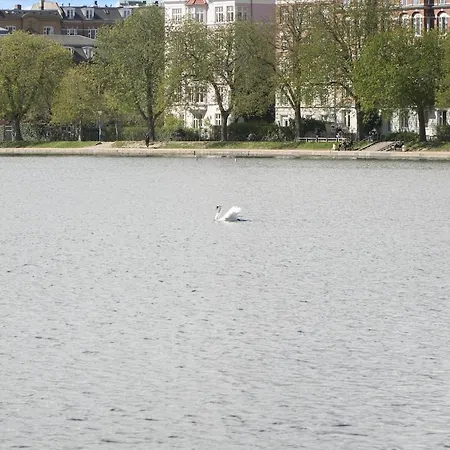 Spacious And Stylish In Cph *