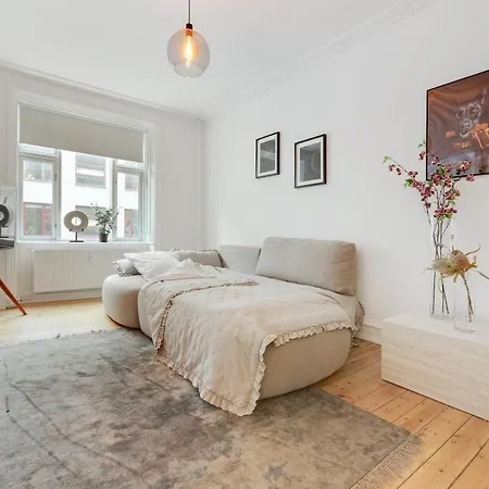 Apartment Spacious And Stylish In Cph *