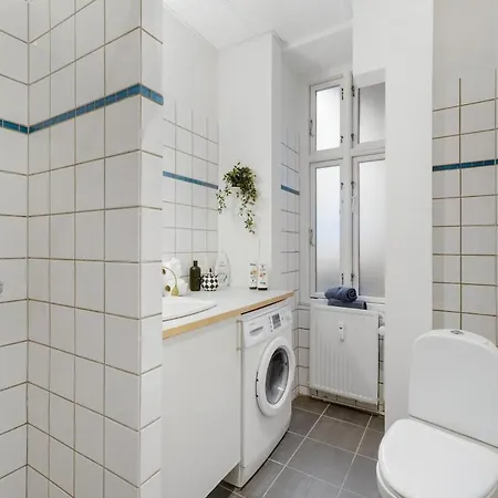 Apartment Spacious And Stylish In Cph